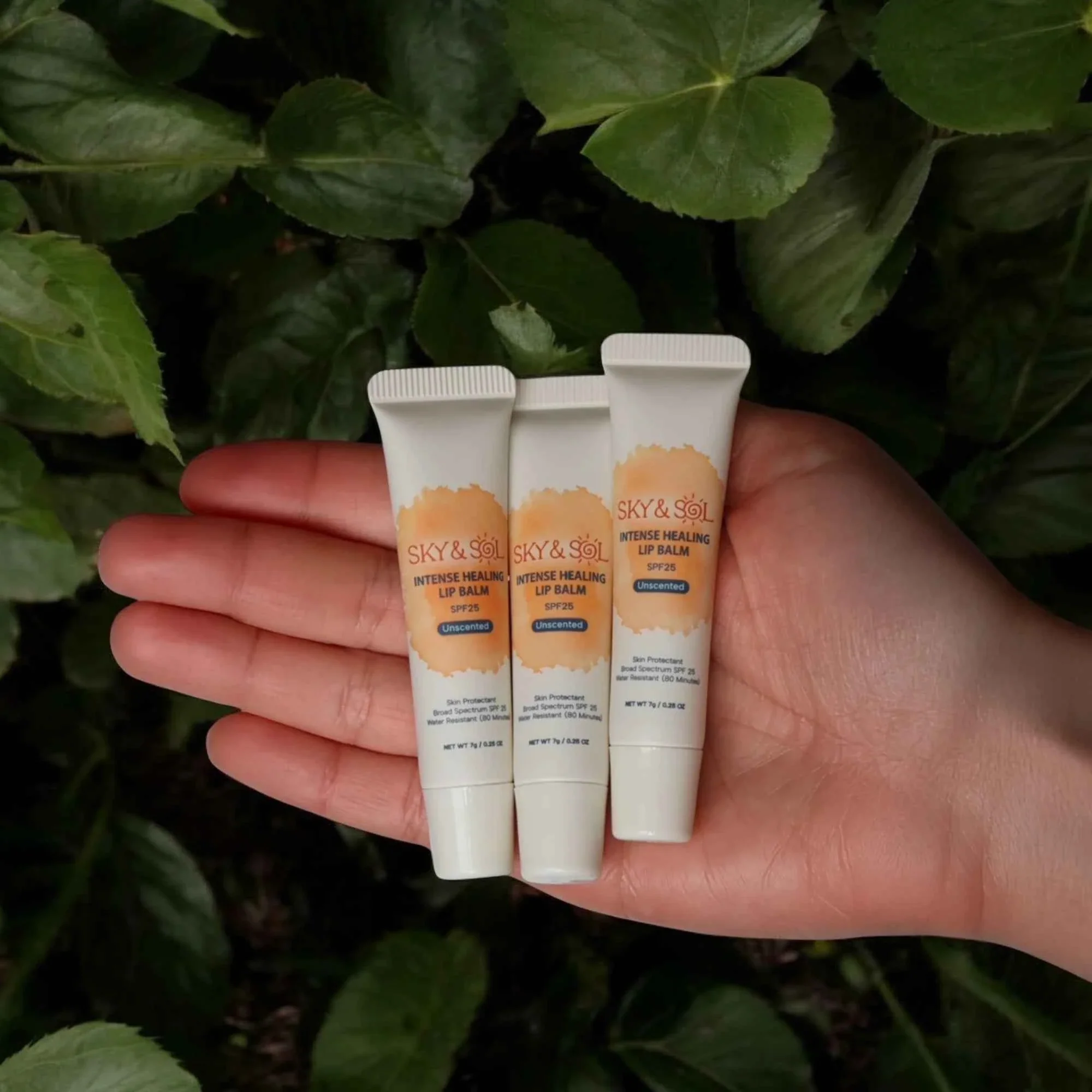 Sky and Sol Lip Jelly SPF 25 (Pack of 3) (INT)